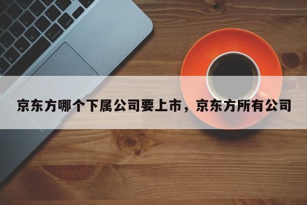 京东方哪个下属公司要上市,京东方所有公司