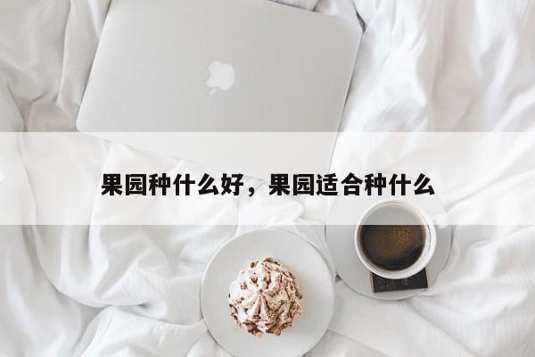 果园种什么好,果园适合种什么