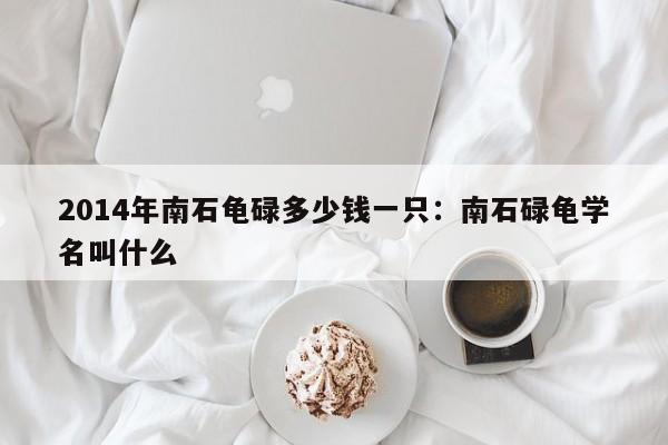 2014年南石龟碌多少钱一只:南石碌龟学名叫什么