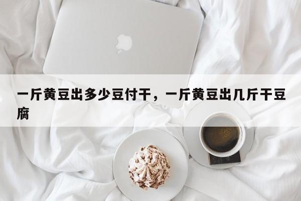 一斤黄豆出多少豆付干,一斤黄豆出几斤干豆腐