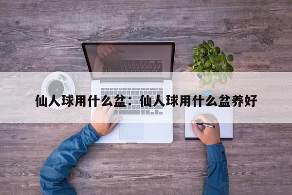 仙人球用什么盆:仙人球用什么盆养好