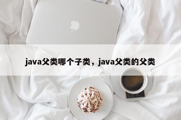 java父类哪个子类,java父类的父类