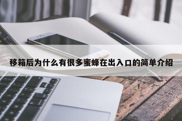 移箱后为什么有很多蜜蜂在出入口的简单介绍