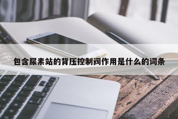 包含尿素站的背压控制阀作用是什么的词条