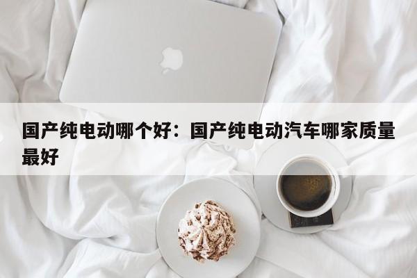 国产纯电动哪个好：国产纯电动汽车哪家质量最好