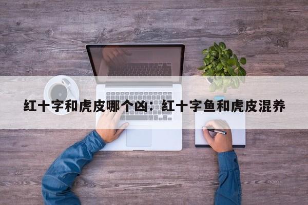红十字和虎皮哪个凶：红十字鱼和虎皮混养