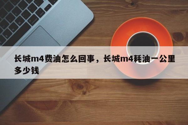 长城m4费油怎么回事,长城m4耗油一公里多少钱
