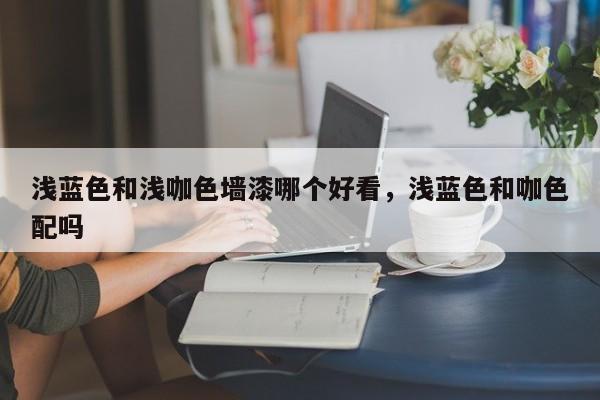 浅蓝色和浅咖色墙漆哪个好看，浅蓝色和咖色配吗